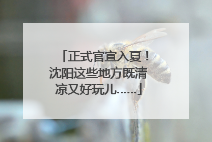 正式官宣入夏！沈阳这些地方既清凉又好玩儿……