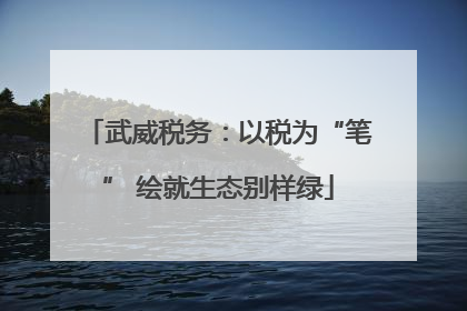 武威税务：以税为“笔” 绘就生态别样绿