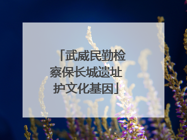 武威民勤检察保长城遗址护文化基因