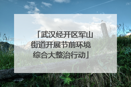 武汉经开区军山街道开展节前环境综合大整治行动