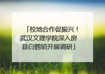 校地合作促振兴！武汉文理学院深入房县白鹤镇开展调研