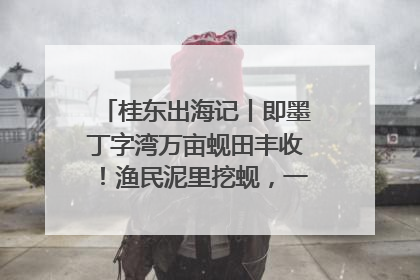桂东出海记丨即墨丁字湾万亩蚬田丰收！渔民泥里挖蚬，一天上岸过千斤
