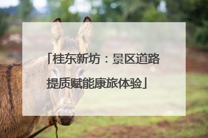 桂东新坊：景区道路提质赋能康旅体验