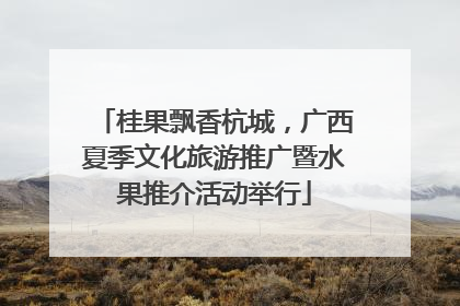 桂果飘香杭城，广西夏季文化旅游推广暨水果推介活动举行