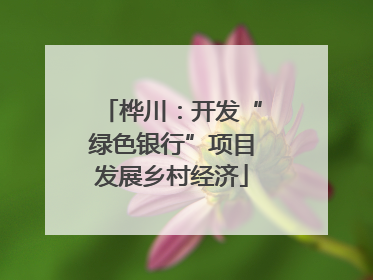 桦川：开发“绿色银行”项目发展乡村经济