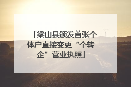 梁山县颁发首张个体户直接变更“个转企”营业执照
