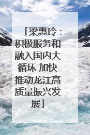 梁惠玲：积极服务和融入国内大循环 加快推动龙江高质量振兴发展