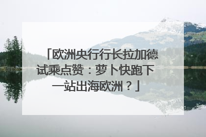 欧洲央行行长拉加德试乘点赞：萝卜快跑下一站出海欧洲？