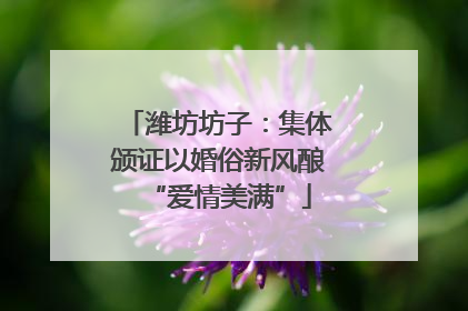 潍坊坊子：集体颁证以婚俗新风酿“爱情美满”