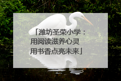 潍坊圣荣小学：用阅读滋养心灵 用书香点亮未来