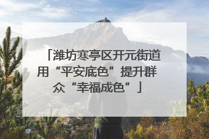 潍坊寒亭区开元街道用“平安底色”提升群众“幸福成色”
