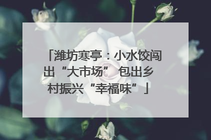 潍坊寒亭：小水饺闯出“大市场” 包出乡村振兴“幸福味”