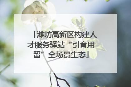 潍坊高新区构建人才服务驿站“引育用留”全场景生态