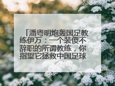 潘粤明炮轰国足教练伊万：一个装傻不辞职的所谓教练，你指望它拯救中国足球！此前曾多次发文评价国足