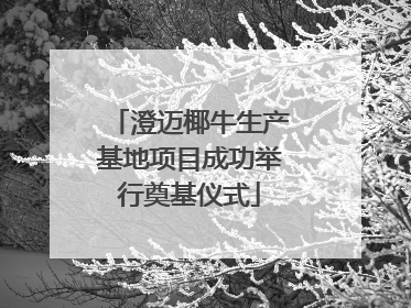 澄迈椰牛生产基地项目成功举行奠基仪式