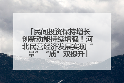 民间投资保持增长 创新动能持续增强！河北民营经济发展实现“量”“质”双提升