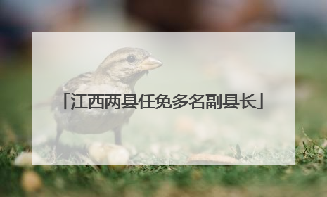 江西两县任免多名副县长