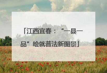江西宜春：“一县一品”绘就普法新图景