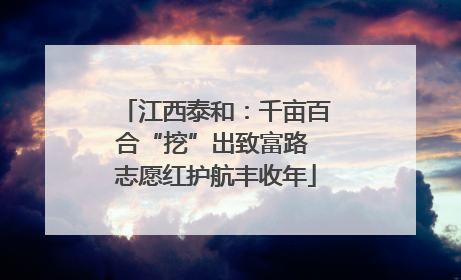 江西泰和：千亩百合“挖”出致富路 志愿红护航丰收年