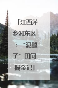 江西萍乡湘东区：“泥腿子”田间掘金记