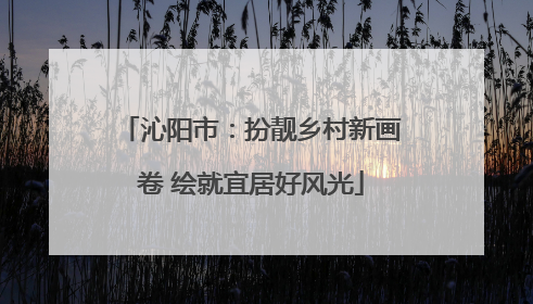 沁阳市：扮靓乡村新画卷 绘就宜居好风光