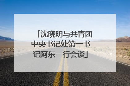 沈晓明与共青团中央书记处第一书记阿东一行会谈