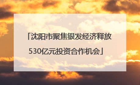 沈阳市聚焦银发经济释放530亿元投资合作机会