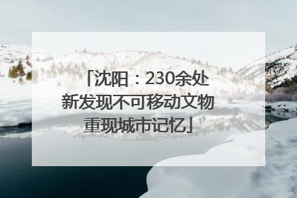 沈阳：230余处新发现不可移动文物重现城市记忆