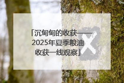沉甸甸的收获——2025年夏季粮油收获一线观察
