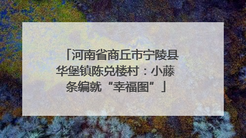河南省商丘市宁陵县华堡镇陈兑楼村：小藤条编就“幸福图”