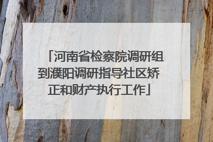 河南省检察院调研组到濮阳调研指导社区矫正和财产执行工作