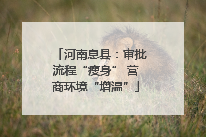 河南息县：审批流程“瘦身” 营商环境“增温”