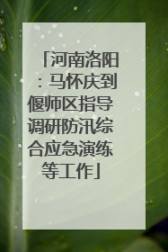 河南洛阳：马怀庆到偃师区指导调研防汛综合应急演练等工作