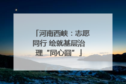 河南西峡：志愿同行 绘就基层治理“同心圆”