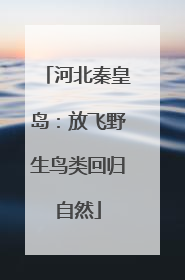 河北秦皇岛：放飞野生鸟类回归自然