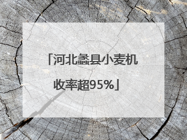 河北蠡县小麦机收率超95%