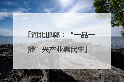 河北邯郸：“一品一播”兴产业惠民生