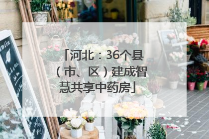 河北：36个县（市、区）建成智慧共享中药房