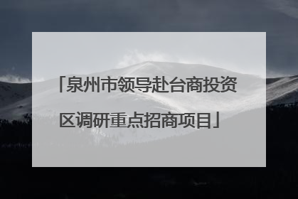 泉州市领导赴台商投资区调研重点招商项目