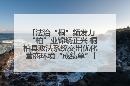 法治“桐”频发力 “柏”业锦绣正兴 桐柏县政法系统交出优化营商环境“成绩单”