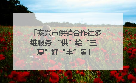 泰兴市供销合作社多维服务 “供”绘“三夏”好“丰”景