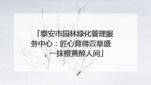 泰安市园林绿化管理服务中心：匠心育得萱草盛，一抹橙黄醉人间