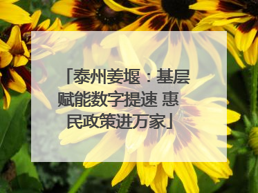 泰州姜堰：基层赋能数字提速 惠民政策进万家