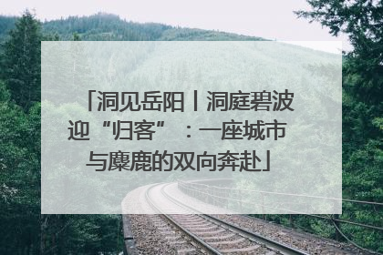 洞见岳阳丨洞庭碧波迎“归客”：一座城市与麋鹿的双向奔赴