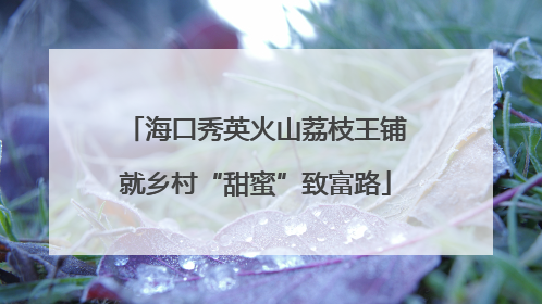 海口秀英火山荔枝王铺就乡村“甜蜜”致富路