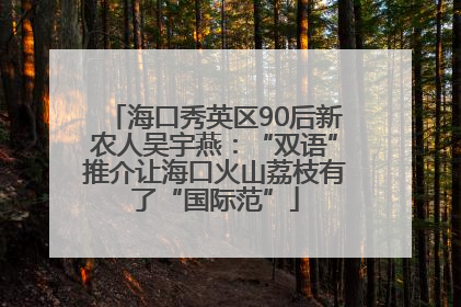 海口秀英区90后新农人吴宇燕：“双语”推介让海口火山荔枝有了“国际范”