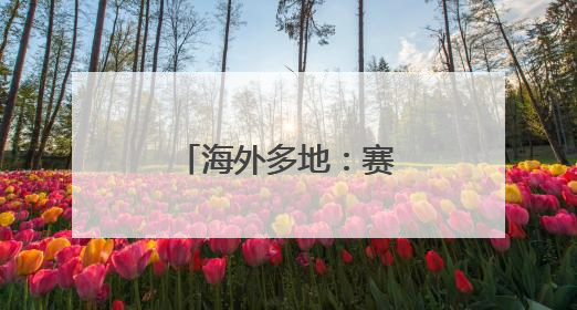 海外多地：赛龙舟 迎端午