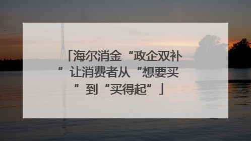 海尔消金“政企双补”让消费者从“想要买”到“买得起”