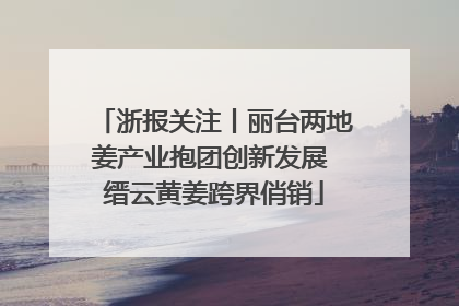 浙报关注丨丽台两地姜产业抱团创新发展 缙云黄姜跨界俏销