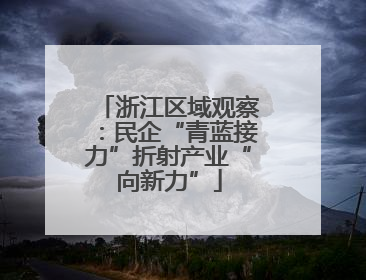 浙江区域观察：民企“青蓝接力”折射产业“向新力”